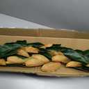 5 Feet Artificial Christmas Garland Fake Gold and Green Magnolia Leave Garland Hanging Xmas Dcor for Thanksgiving Christmas Table Mantel Door Decoration