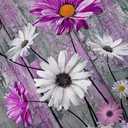 Rustic Farmhouse Floral Shower Curtain Rustic Farmhouse Daisy Shower Curtains Rustic Wooden Bath Curtain Set with 12PCS Hooks, 70X70 Inch, Pink