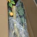 Jexine 2 Pack Artificial Lemon Tree 3 ft Tall Fake Plant Pre Potted Faux Lemon Tree Realistic Fruits for Indoor Home Decor Office Living Room