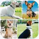 2 x Kazazoo Reflective Dog Collar with Soft Padding Dog Collar for Medium & Small Dogs, No Pull, Heavy Duty, Adjustable Nylon Collar with Quick-Release Buckle, Walking Training-Grey-S