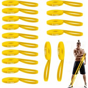 16-Pcs Resistance Bands Set - Premium Elastic Workout Bands for Home Gym, Strength Training, Yoga & Physical Therapy