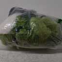 Tiger dinosaur panda Paw Gloves Headband and Tail Costumes Set Cosplay Tiger Leopard Animal Paw Gloves