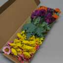 8 Bundles Artificial Silk Gerbera Daisy Flowers Fake Outdoor Bouquet Realistic Bulk Bouquet UV Resistant for Garden Front Porch Pots Home Indoor Table Vase Decoration (Multicolor)