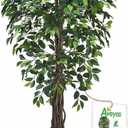 Aveyas 6ft Artificial Ficus Tree for Home Decor with Black Pot, 6 Feet Faux Plant Fake Silk Trees for Indoor Outdoor House Living Room Office Garden (6 ft Tall Including Raised Pot)