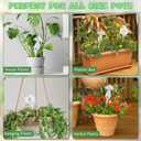 Hysagtek 4 Pack Plant Watering Globes, Self Watering Planter Insert, Plant Watering Bulbs Devices for Indoor and Outdoor Plants, Hand Blown Clear Glass Mushroom Watering Bulbs