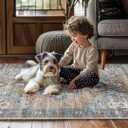 Muddy Mat Coral 3x5 Washable Area Rugs for Living Room, Bedroom & Dining Room Modern Soft Low Pile Non Slip Carpet Pet Friendly Waterproof Foldable Rugs for Home