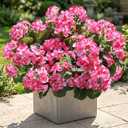 Artificial Geranium Fake Flowers for Outdoors Decoration, 6 Bundles Silk Geraniums Pink Flower UV Resistant Look Real Faux Plants for Front Door Garden Porch Planter Patio Balcony Yard Indoor Home