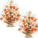 Timer - 2 Pack 18 Inch Lighted Fall Tree Thanksgiving Decorations, Fall Maple Tree with Pumpkins Pinecones 40 LEDs Battery Operated, Artificial Tabletop Trees for Thanksgiving Table Decor Home Indoor