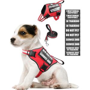 Service Dog Vest Harness and Leash Set+10 Patches for Puppy Small Dogs,Do Not Pet Emotional Support Dog Vest with 2 Soft Padded Handle for Everyday/Training (Red XS) (Extra-Small)