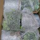 Mkono Small Fake Plants in Farmhouse Galvanized Metal Pots 3 Pack Potted Artificial Plant Eucalyptus for Laundry Room Bathroom Shelf Table Decor (Grey)