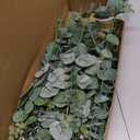 Serwalin 100 Pcs Mixed Artificial Eucalyptus Stems,Babys Breath Artificial Flowers Bulk with Faux Eucalyptus Leaves Greenery Stems for Wedding DIY Bouquets Floral Arrangement Home Decor
