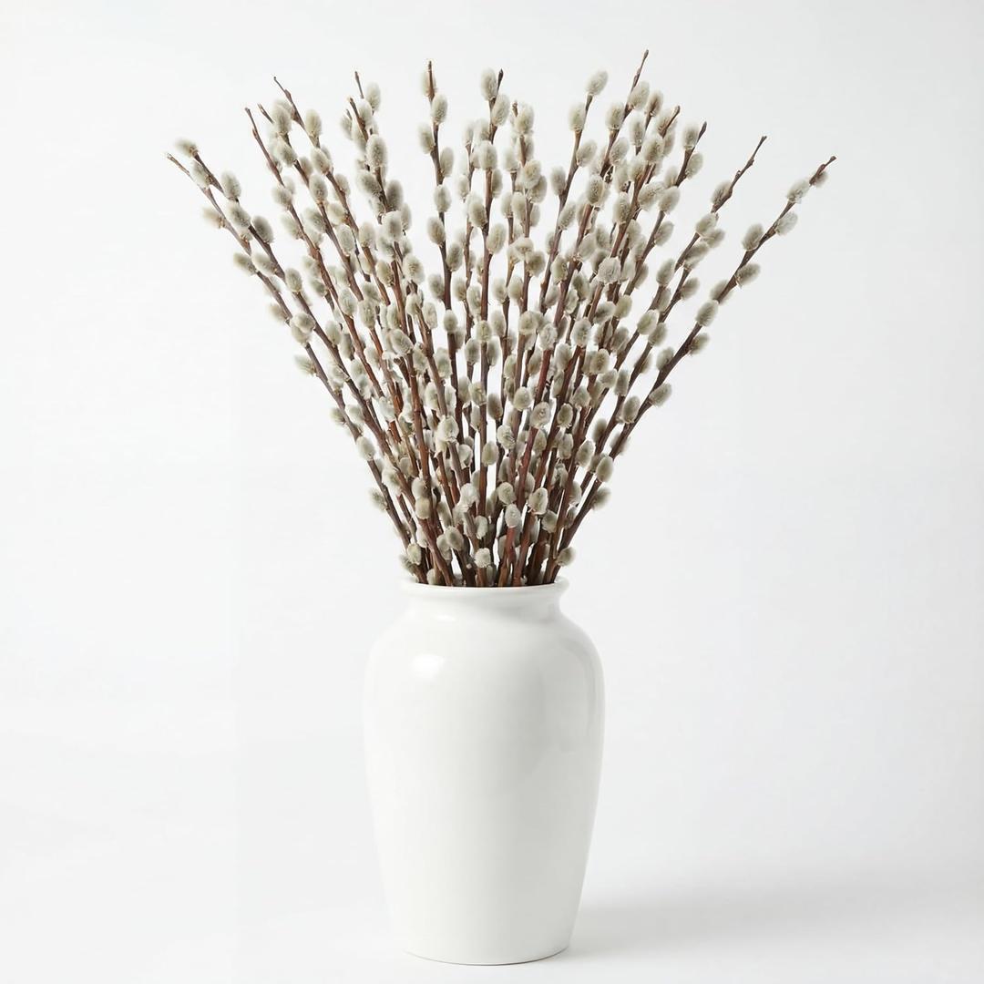 20 Stems 31.5'' Real Dried Pussy Willow Branches for Vases 100% Natural Tall Snow Pussy Willows with White Flowers Live Plant for Wedding Home Hotel Fireplace Yard Decor