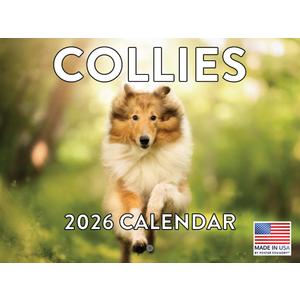 Collie Calendar 2026 Monthly Wall Calender | American Made In The USA