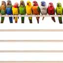 Sintuff Bird Perches Natural Wood Double Slots, 24 Inches, 4 Pcs
