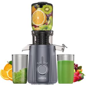 Cold Press Juicer Machines, Slow Masticating Juicer with 4.25" Large Chute, Self-Feeding Juice Extractor for Whole Fruits & Vegetables, 98% Juice Yield, Quiet & Easy to Clean (Grey)