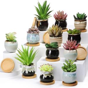 Remerry 18 Pcs Small Succulent Pots Bulk with Drainage 2.5 Inch Assorted Mini Ceramic Succulent Planters Pot with Coaster Bamboo Plant Tray Planting Pots for Home Office Garden