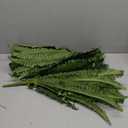35" Ferns Artificial Bush Plants Large, 2 Artificial Boston Ferns with 39 Fronds for Outdoors Home Decor