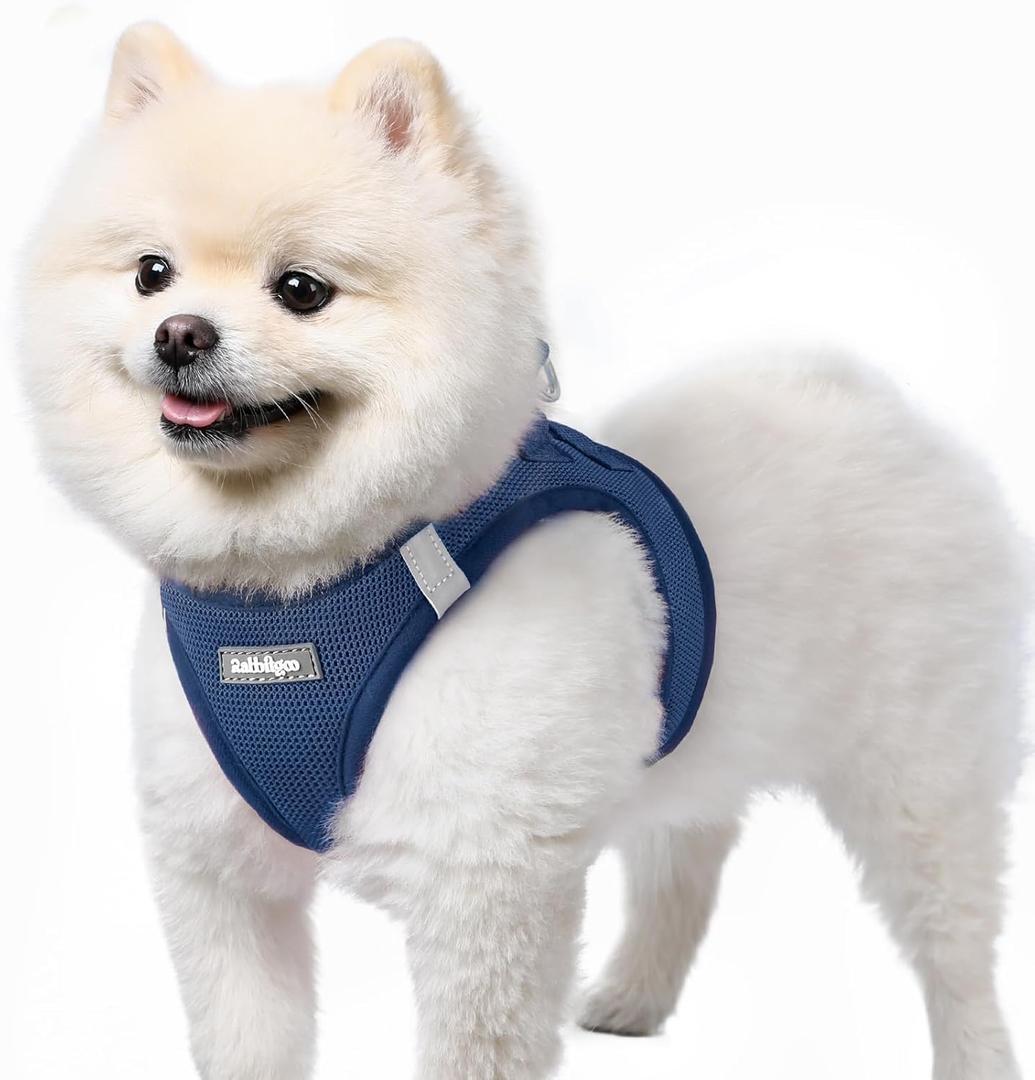 Rabbitgoo Small Dog Harness, Step-in Soft Mesh Puppy Vest with Safety Buckle, Breathable Reflective Pet Harness for Small Sized Dogs, Navy Blue S