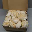 Artificial Peonies Flowers Bulk, 50Pcs 4 Champagne Peonies Faux Silk Peony Heads for Table, Fake Flowers Arrangements for Wedding, Valentine, Engagement, Office, Coffee, Dining Decorations