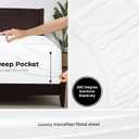Royale Linens Fitted Sheet Queen - Ultra Soft 1800 Brushed Microfiber - Hotel Luxury Bottom Sheets - Wrinkle Free & Fade Resistant - Deep Pocket Fitted Sheet Only (Queen, White)