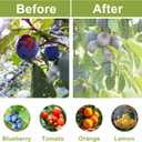 JERIA Bird Netting for Garden, 4 Pack 3.3ft x 2.7ft Blueberry Bush Netting Cover,Gardens Netting with Drawstring