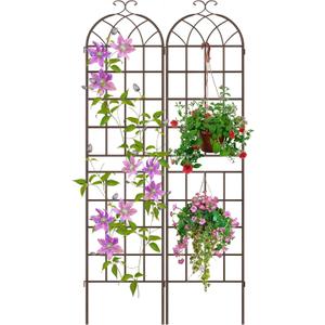 LZRS 2 Pack 83x20in Rustic Iron Arch Decoration Garden Trellis with Metal Coating Perfect for Supporting Climbing Plants Outdoor, Roses, Vines, Flowers, and Vegetables, Brown