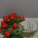 Hotop 20 Pcs Artificial Rose Flowers with Long Stem,Real Touch Silk Realistic Plastic Bouquet Roses Bulk for Home Decor Bridal Wedding Party Table Centerpieces Decorations(Red)