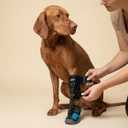 Labra Dog Canine Knuckling Corrector Toe Dragging Brace Wrap for Front or Back Rear Paw Leg L/XL