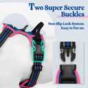 rabbitgoo Dog Harness No Pull with 2 Leash Clips, Adjustable Soft Padded, Reflective Oxford No Choke Pet Vest with Easy Control Handle for Large Dogs, Blue & Hot Pink, M