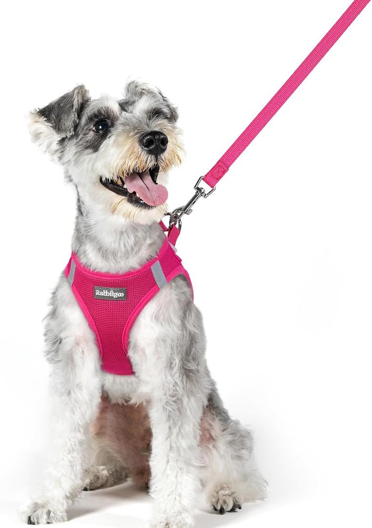 rabbitgoo Dog Harness and Leash Set, Step in Soft Light Puppy Vest, Breathable Mesh Pet Harness, Reflective for Safe Easy Walking, Rosa Red XL