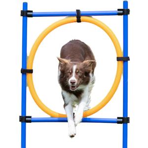 TRIXIE Dog Agility Ring, Portable Dog Hoop, Obstacle Course Equipment, Obedience Training