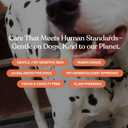 Dandylion Clean Paws No-Rinse Foaming Cleanser Refill  Gentle, Fragrance-Free, pH-Balanced for Dogs, 10 fl oz