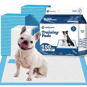 Basics LeakProof Dog and Puppy Potty Training Pee Pads with QuickDry 5Layer Super Absorbent Design, Regular Size 22 x 22 inch, Blue & White, 100 Count