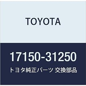 Toyota Genuine Parts - Manifold Assy, Exhau (17150-31250)