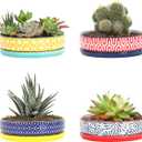 Selamica Ceramic Succulent Pots, Shallow Succulent Planters with Drainage Hole & Saucer, Indoor Plant Pots for Cactus, Home DecorAssorted Colors,6 inchSet of 4