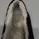 Vionic Lynez Slip on Slippers. (9, Black Suede)