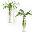 Mkono Propagation Station Wall Planter Hanging Glass Tubes Flower Vase for Hydroponics Plants, Bathroom, Home Office Living Room Decor Gift, Cylinder Set of 2, Clear