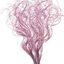 Glitter Curly Ting Ting Branches Christmas Branches Vase Filler Artificial Curly Twigs for Christmas Tree Garland Wreath Decoration, Craft Vases Home Garden Decoration (Pink,36 Pieces)