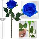 12 PCS Rose Artificial Silk Flowers, Fake Roses with Long Stems Realistic Faux Rose Flower Bouquets for Home Wedding Decoration Party-Sapphire Blue