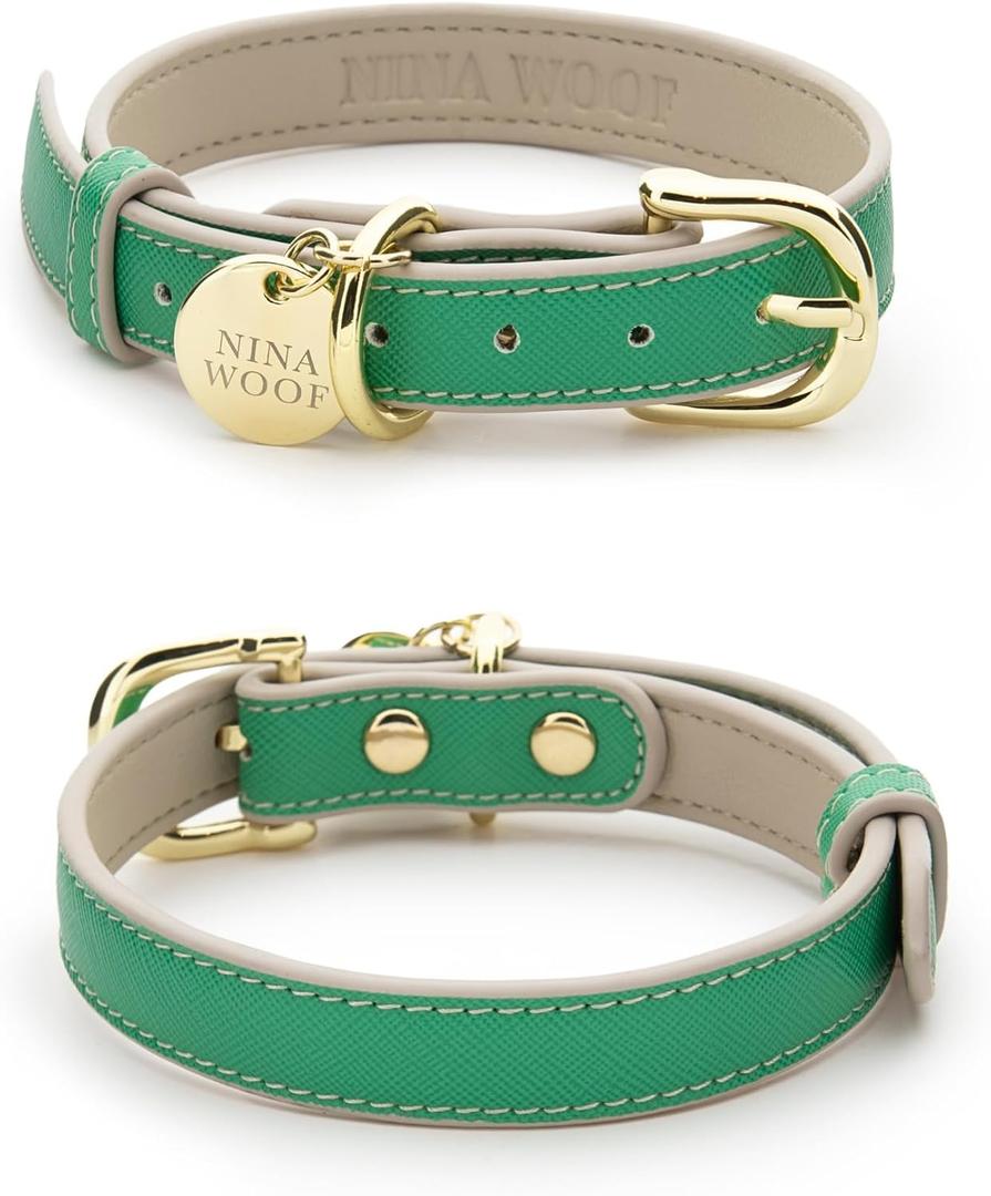 Rio Vegan Leather Dog Collar - Padded Luxury Dog Collar with Adjustable Buckle - Collar for Dogs, Dog Collar for Small Dogs to Dog Collar for Large Dogs - Color Green (Extra Small) (XS: 9 - 12" Neck)