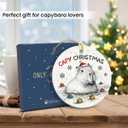 Capybara Ornament 2025  Funny Animal Lovers, Cute Ceramic Ornament for Women, Men & Friends, Unique Capybara Decor for Tree Decoration or Gift Exchange