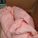 Pink Ruffled Comforter Set Twin Size, 3 Pieces (1 Ruffled Comforter and 2 Pillowcases) Farmhouse Shabby Chic Style with 2 Layers Ruffle, Solid Color Lightweight Soft Fluffy Bedding Sets for Girls