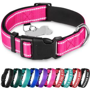 TECEUM Reflective Dog Collar  Hot Pink  M  Extra Soft Padding  Basic Nylon Pet Collar  Quick Release Buckle  Fits Small, Medium and Large Dogs, Puppies, Cats  ESA & Service Dog Options