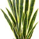 Artificial Snake Plant 3ft Fake Sansevieria with Woven Basket