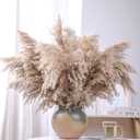 20 Stems 28" inch Large Brown Pampas Grass Decor Tall - Natural Fluffy Pompas Grass Bulk Tall Pampas Grass for Floor Vase - Boho Decor Home Decor Wedding Decor Event DecorGift