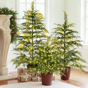 Cinnvoice Set of 3 2ft 3ft 4ft Pre-lit Twinkle Christmas Cypress Tree with 180 LED Light Realistic Artificial Trees with Woven Basket Base Xmas Holiday Decor for Indoor Living Room Home (Cypress Tree)
