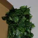 Mudder 3 Packs LED Artificial Hanging Plants, 3.6 ft Fake Hanging Plant, Ivy Vine Fake Leaves Greeny Chain Wall Home Room Garden Wedding Garland Outside Decor (Basket Not Included) (Greenery Style)