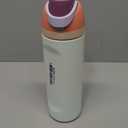 FreeSip Insulated Stainless Steel Water Bottle with Straw for Sports, Travel, and School BPA-Free Sports Water Bottle, 24 oz, Surfs Edge (24 Ounces, Surfs Edge)