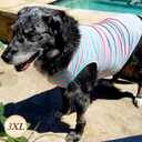 KYEESE 2Pack Dog Shirt, Soft Striped Dogs T Shirts, Lightweight Pet Tank Top, Sleeveless Dog Shirt for Dogs, Stretchy Comfortable Pet Vest, Pink, 3XL