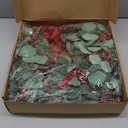 24 inch Christmas Wreath with Lights, Christmas Wreath for Front Door Christmas Door Wreaths with Red Berries Pine Cones Cedar Eucalyptus Leaves Aritificial Wreath for Christmas Indoor Outdoor Decor